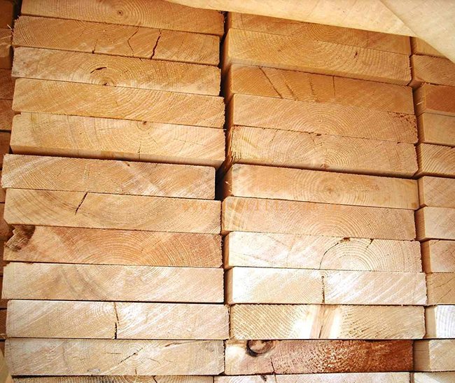 庐江智利辐射松方木