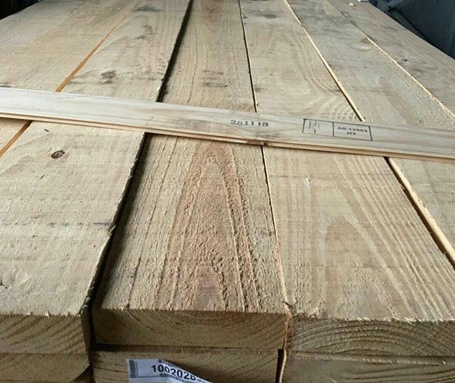 庐江阿根廷松木